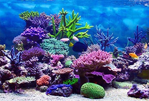 AOFOTO 5x3ft Coral i Riba u moru Backdrop Aquarium Podvodna morska hrana Fotografija Pozadina marinskog okeana Diving Atoll Reef Ljeto