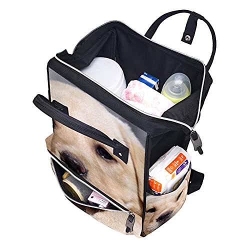 Labrador Retriver Puppyer pelene tote torbe mammmy ruksak veliki kapacitet pelena torba za staračku vrećicu za brigu o bebama