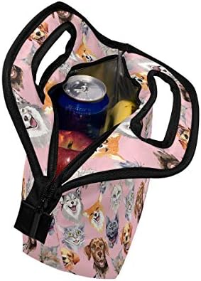 Alaza izolovana torba za ručak Freezable Lunch Box za djecu žene djevojke dječaci i muškarci, mačka i pas Cooler prijenosni Patentni