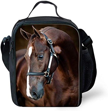 Showudesigns Cool konj višekratna torba za ručak,hladnjak Bento kutija za djecu za odrasle na otvorenom